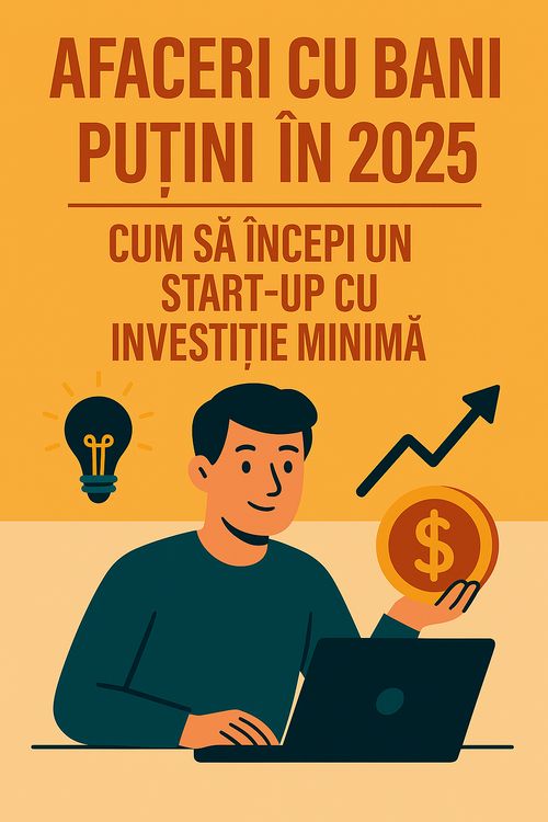 afaceri cu bani putini in 2025